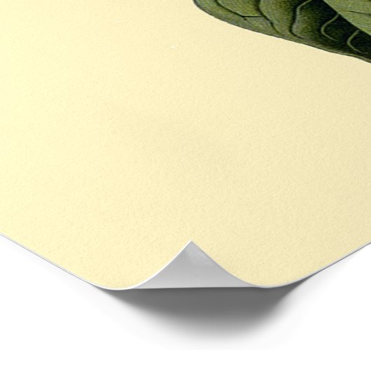 Poster Fleurs vintages Lilac (Coin)