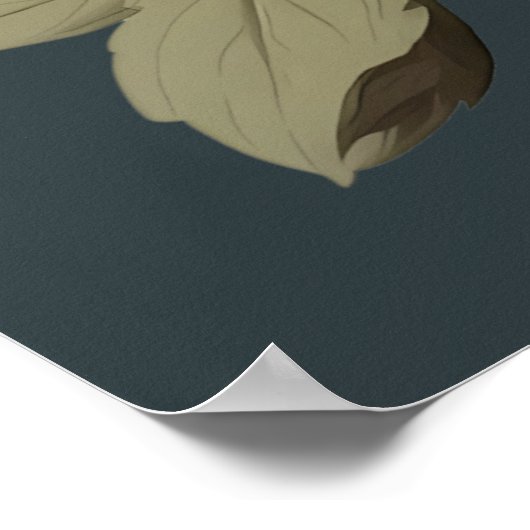 POSTER FLEURS VINTAGES ROSES ET BLANCHES (Coin)