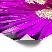 Poster Fleurs violettes (Coin)
