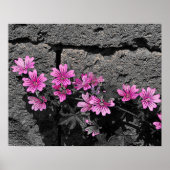 Poster Fleurs violettes (Devant)