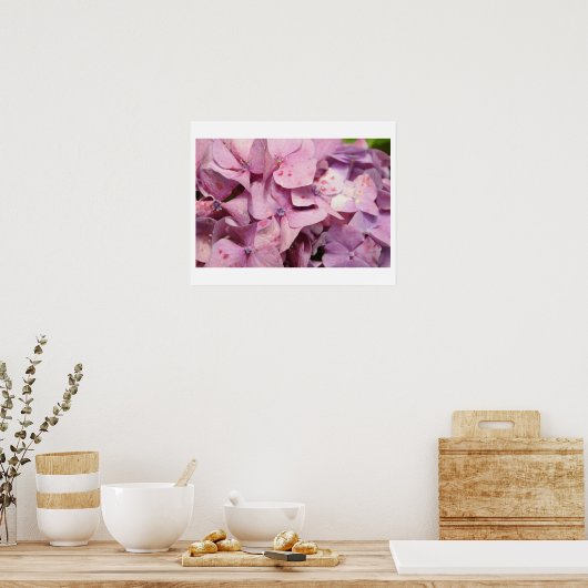 Poster Fleurs violettes (Cuisine)