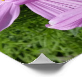 Poster fleurs violettes au soleil (Coin)