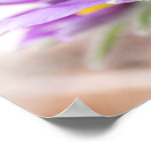 Poster Fleurs violettes au soleil (Coin)