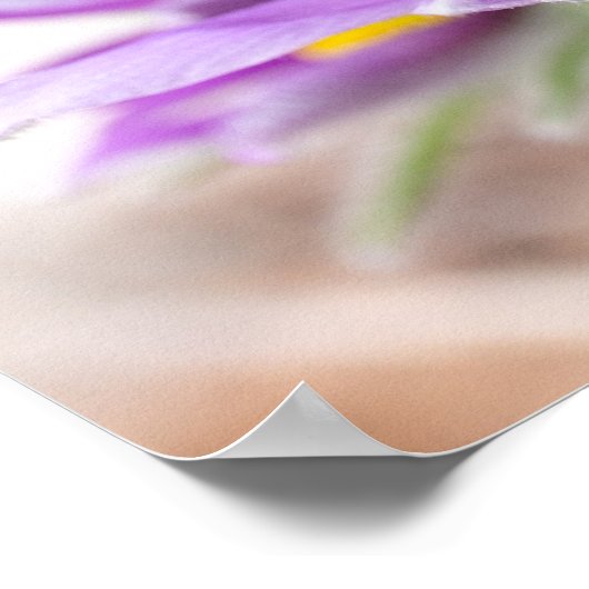 Poster Fleurs violettes au soleil (Coin)