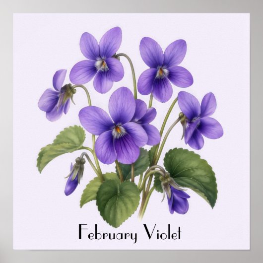 Poster Fleurs Violettes de Février (Devant)