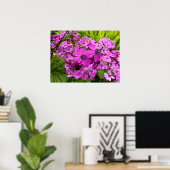 Poster Fleurs violettes de San Francisco (Bureau à domicile)
