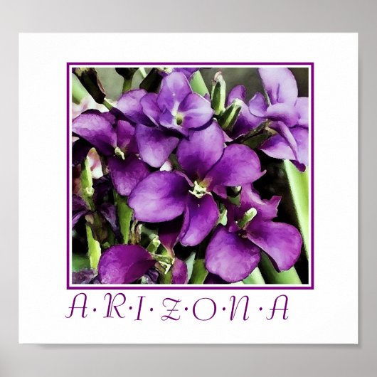 Poster fleurs violettes d'impression d'Arizona (Devant)