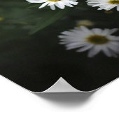 Poster Fleurs violettes et blanches (Coin)