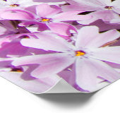 Poster Fleurs violettes été fleurs fraicheur arrière - pl (Coin)