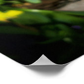 Poster Fleurs violettes Freesia (Coin)