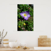 Poster Fleurs violettes Freesia (Cuisine)