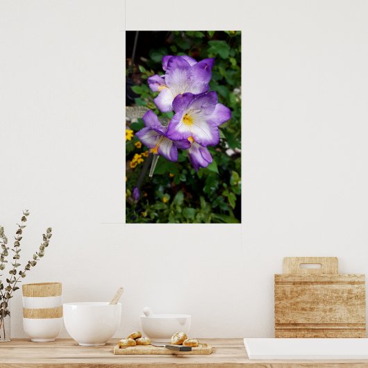 Poster Fleurs violettes Freesia (Cuisine)