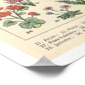 Poster Fleurs Violettes Vintage (Coin)