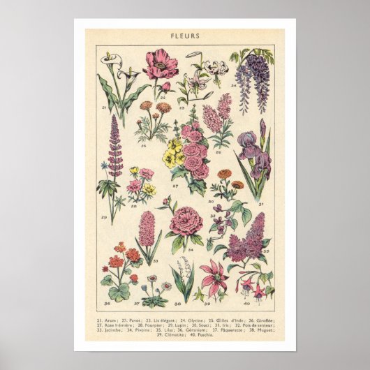 Poster Fleurs Violettes Vintage (Devant)
