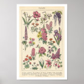 Poster Fleurs violettes vintages (Devant)