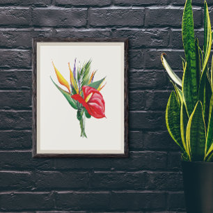 Poster Fleurs vives de Red Anthurium Birds Of Paradise