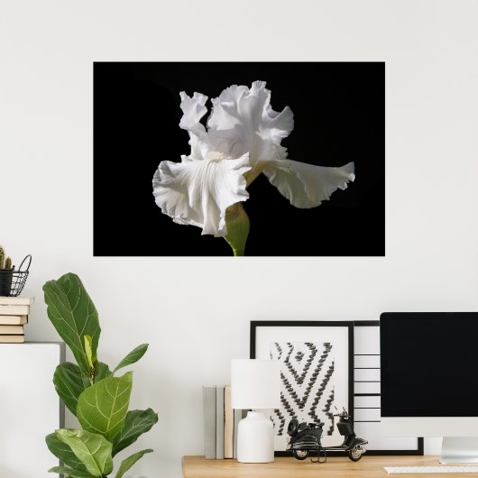 Poster Fleurs | White Iris (Bureau à domicile)