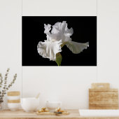 Poster Fleurs | White Iris (Cuisine)
