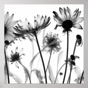 Poster Fleurs X-Ray noir et blanc