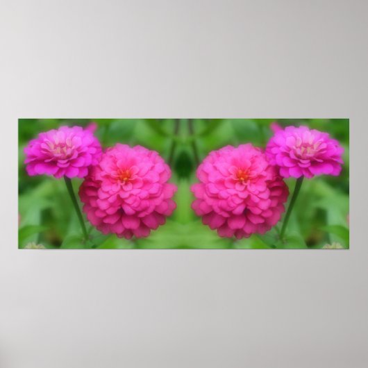 Poster Fleurs Zinnia rose miroir Abstrait (Devant)