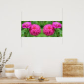 Poster Fleurs Zinnia rose miroir Abstrait (Cuisine)