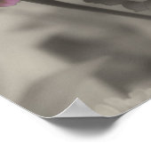 Poster Fleurs Zinnia rose Vintage Couleur partielle (Coin)