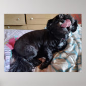 Poster Flicker de la langue (Devant)