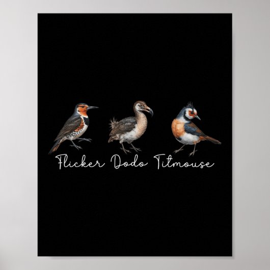 Poster Flickr Dodo Titmouse Funny Bird Clever Birdwatche (Devant)