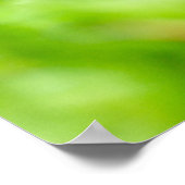 Poster Fliegenpilz (Coin)