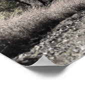 Poster Flint Hills Scène hivernale (Coin)