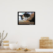 Poster Flirty Calico Avec Abraham Lincon citation mème (Cuisine)