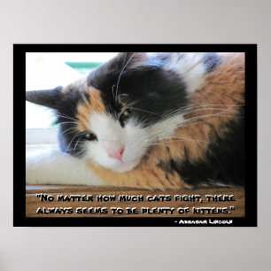Poster Flirty Calico Avec Abraham Lincon citation mème