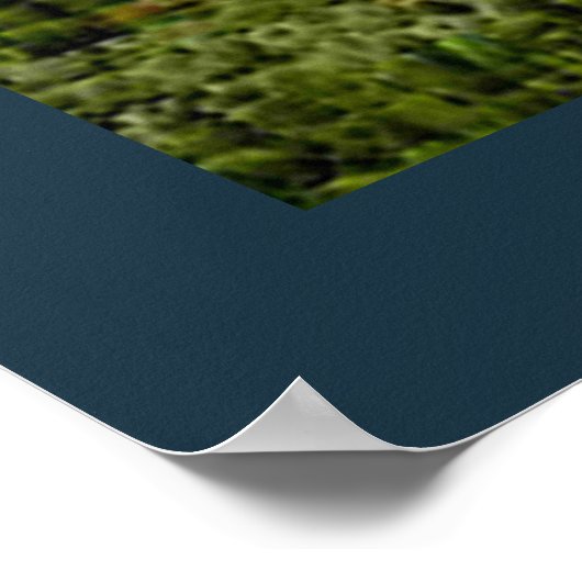 Poster Floatplane De Havilland Beaver (Coin)