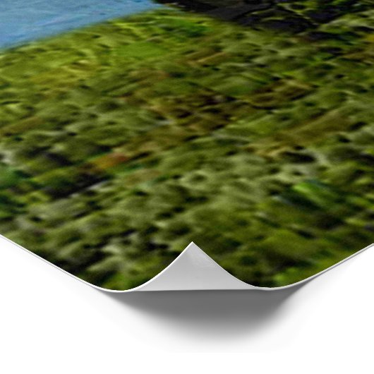 Poster Floatplane De Havilland Beaver (Coin)