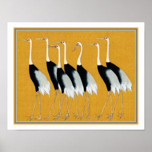 Poster  Flock of Japanese Red Crown Crane by Ogata Korin