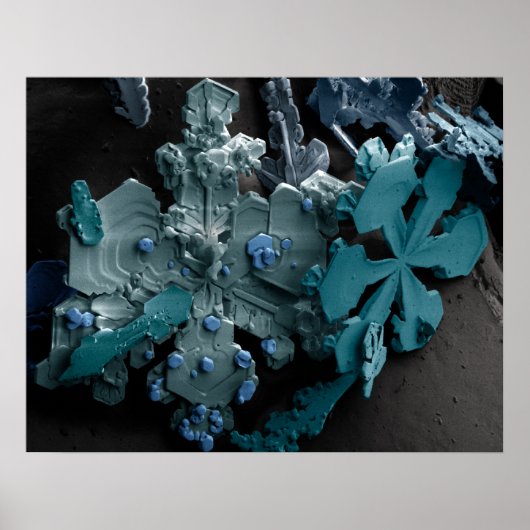 Poster Flocon de neige (Devant)