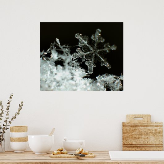 Poster Flocon de neige 2009 Blizzard (Cuisine)