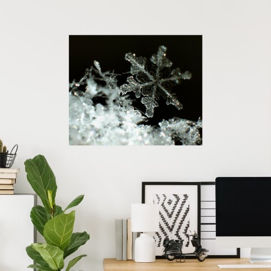 Poster Flocon de neige 2009 Blizzard (Bureau à domicile)