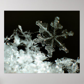 Poster Flocon de neige 2009 Blizzard