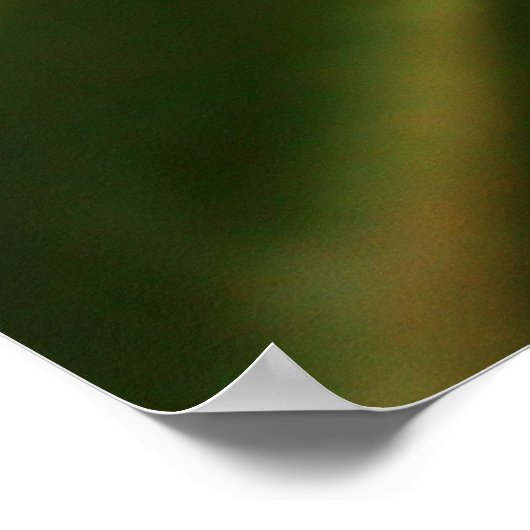 Poster Flocon de neige 2009 Blizzard (Coin)