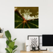 Poster Flocon de neige 2009 Blizzard (Bureau à domicile)