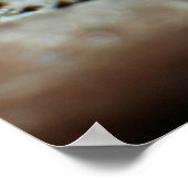 Poster Flocon de neige 2009 Blizzard (Coin)