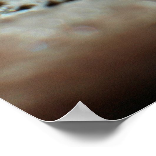 Poster Flocon de neige 2009 Blizzard (Coin)