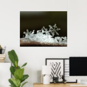 Poster Flocon de neige 2009 Blizzard (Bureau à domicile)