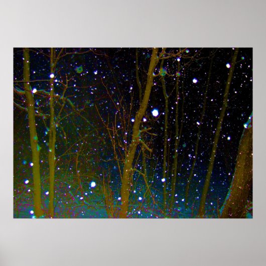 Poster Flocons de neige dans les bois (Devant)