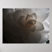 Poster Flora Dramatica (Devant)