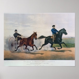 Poster Flora Temple et Lancet