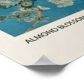 Poster Floraison d'amandier (Coin)