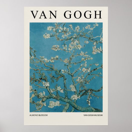 Poster Floraison d'amandier (Devant)