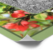 Poster Floraison de coings Créer votre propre photo (Coin)